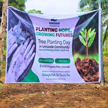 DDI Leads Umuode Community in Mother Earth Day Palm Tree Planting at BON Progress Park